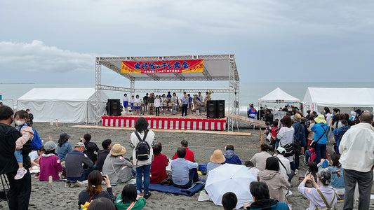土佐伝統のイベント「第66回どろめ祭り」
