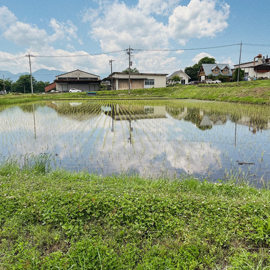 八ヶ岳の自然栽培農園様が企画販売する秘蔵の日本酒「八ヶ岳 福の山」