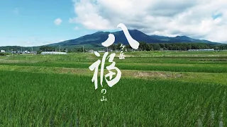 「八ヶ岳福の山」伝説の酒米<亀の尾>/生酛造りの秘蔵の日本酒